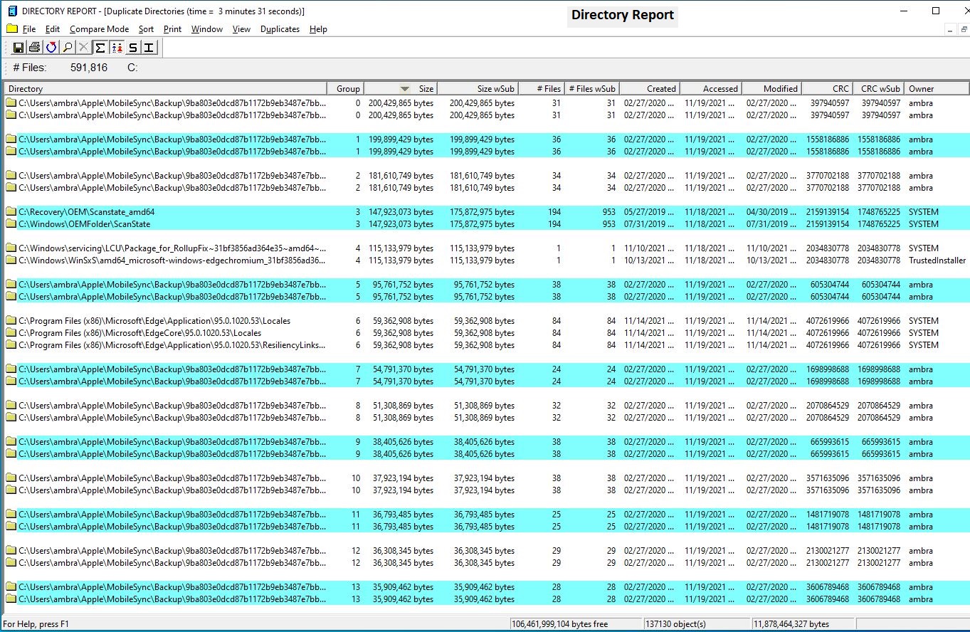 duplicate directories