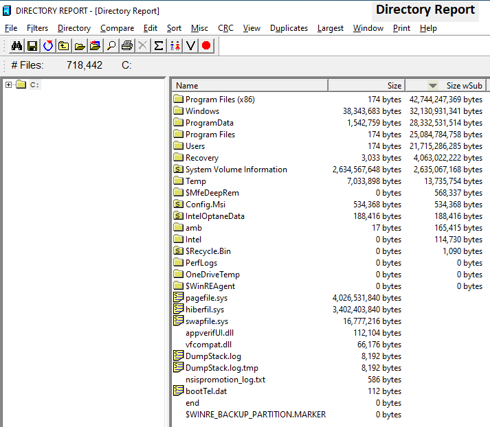 Directory Report - folder size