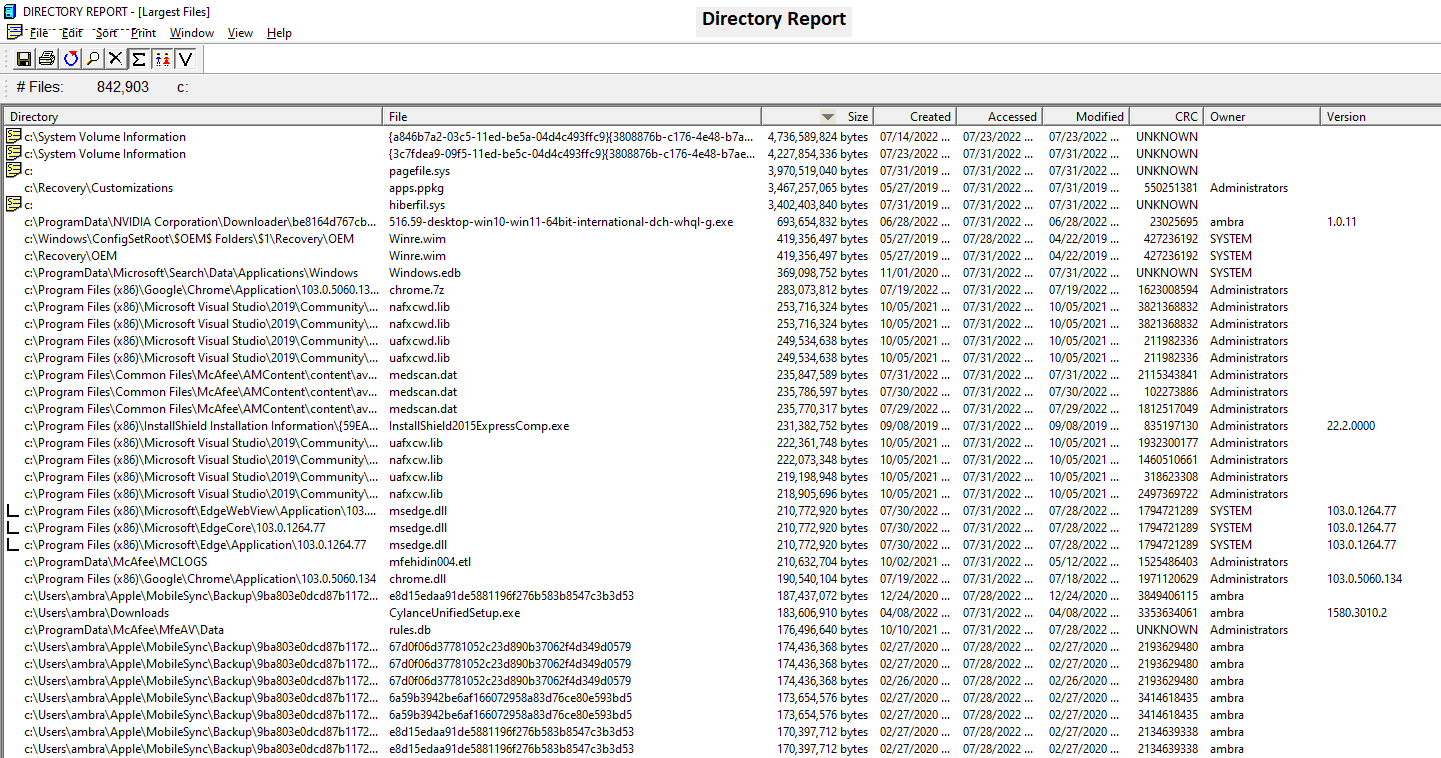 largest files